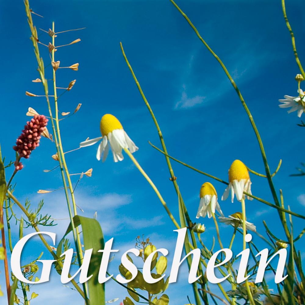 Hof-Gutschein