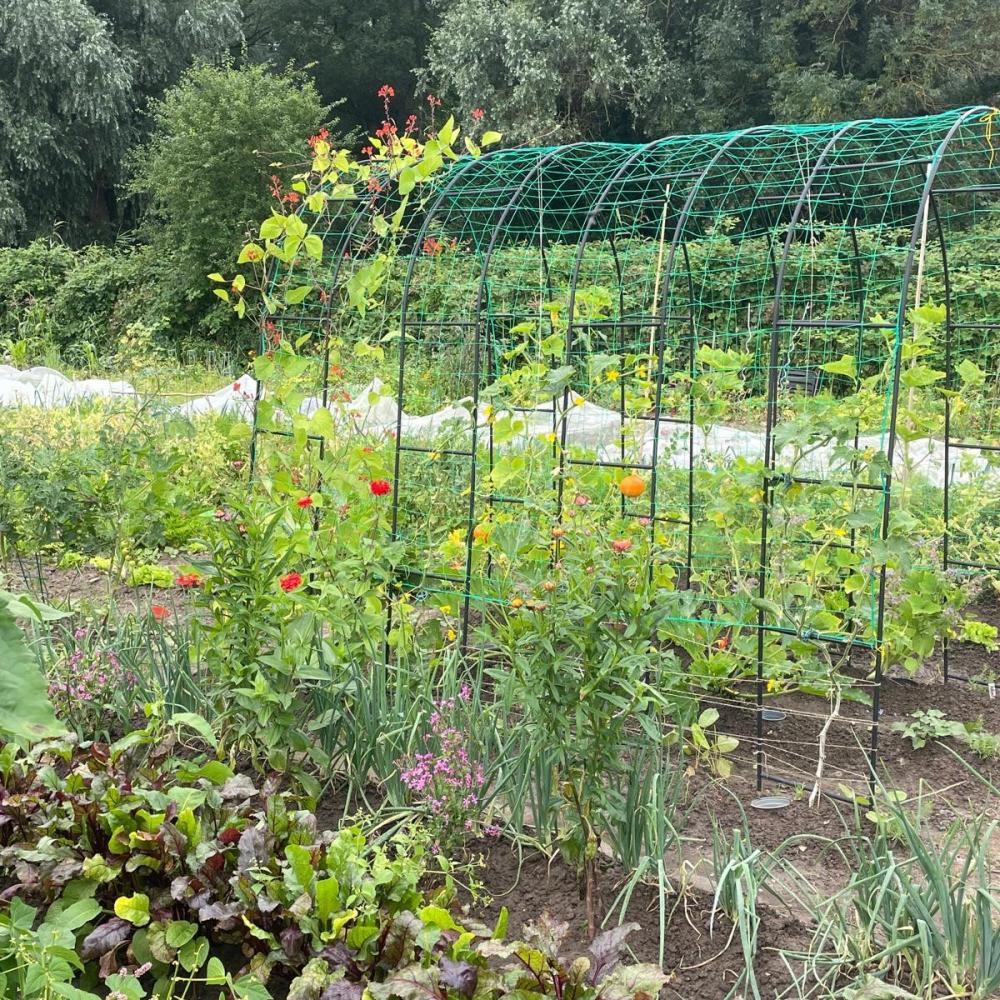 Halbe Mietgarten Parzelle ganzjährig 2027